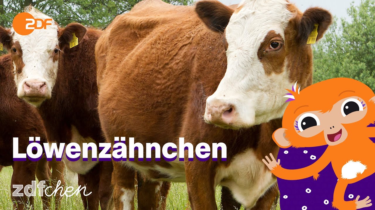 Kuh (Mini) | LÖWENZÄHNCHEN | ZDFchen