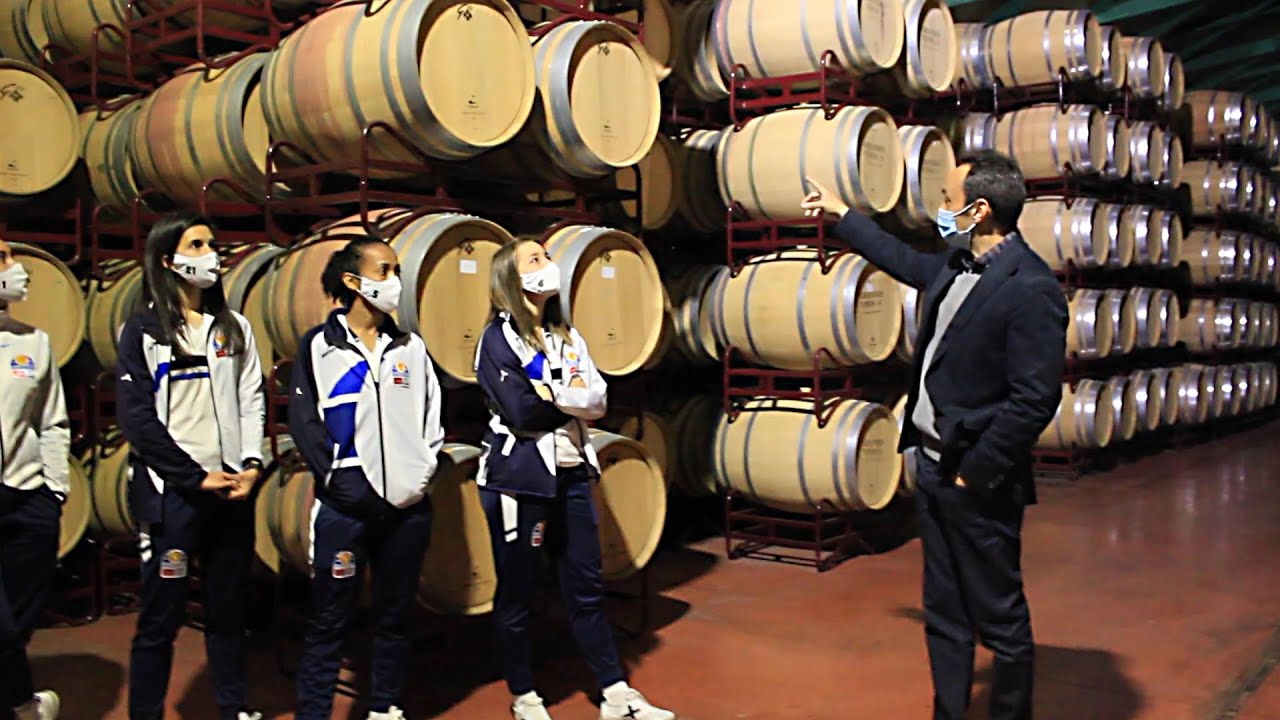 Visita del Sala Zaragoza a Grandes Vinos