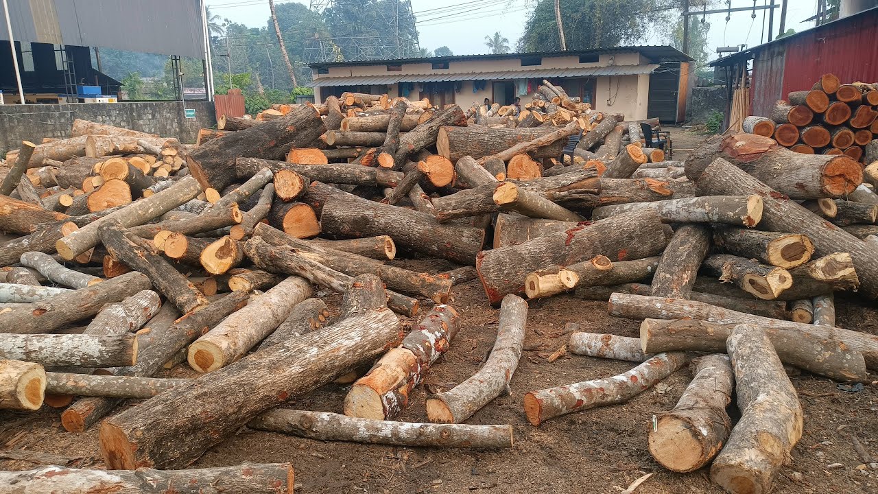 lekdi me ply wood sheet kese banti hai # live working