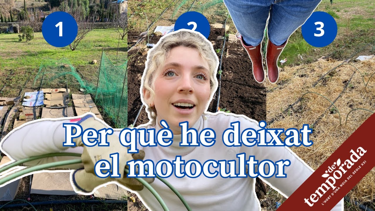 Agricultura Regenerativa a l’hort: com aplicar-la PAS a PAS 🍋🍑🍐