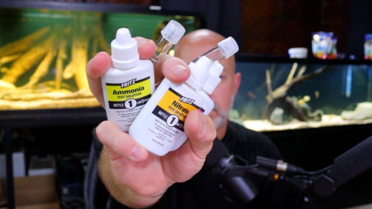 Master Test Kit Vs  Test Strips, Which Is Better?