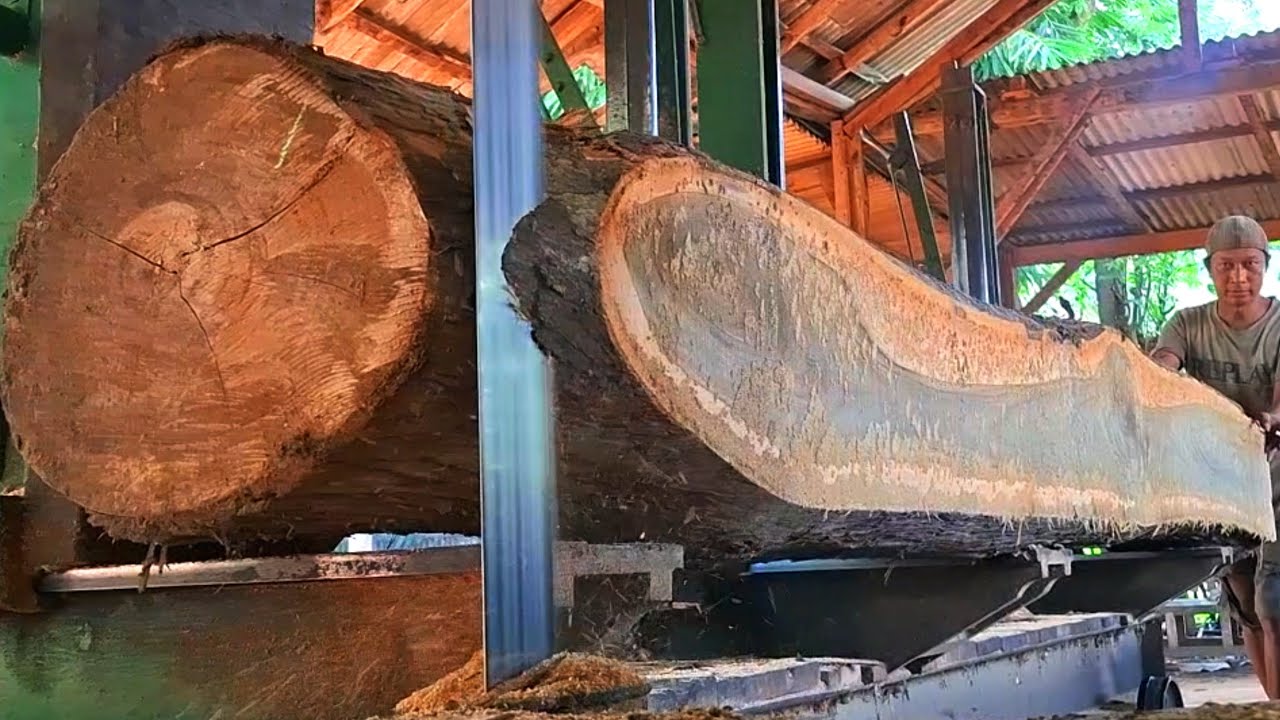 The process of processing old teak wood with beautiful grain #210