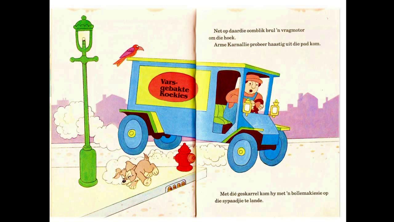 KARNALLIE KOM TOT DIE REDDING   Tannie Richelle Lees Afrikaanse Kinder Stories