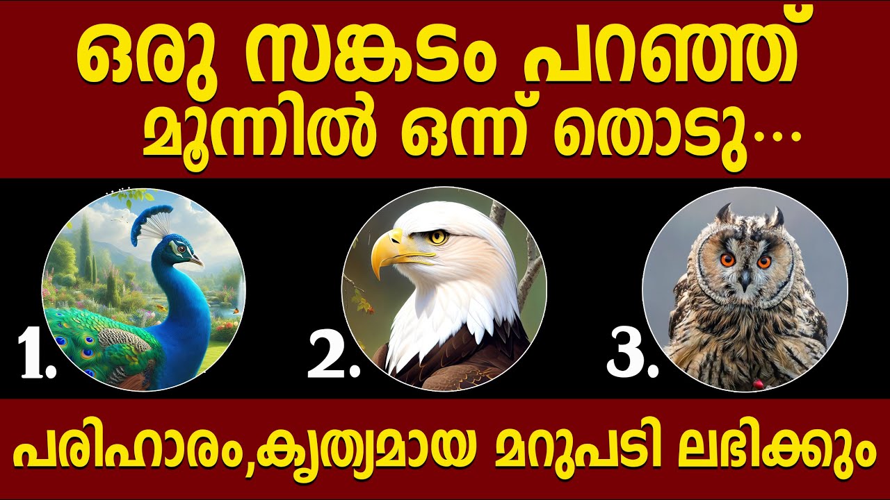 ഒരു ദുഃഖം പറഞ്ഞ് ഒന്ന് തൊട്ടാൽ പരിഹാരം കൃത്യമായ മറുപടി ലഭിക്കും,thodukuri,astrology malayalam