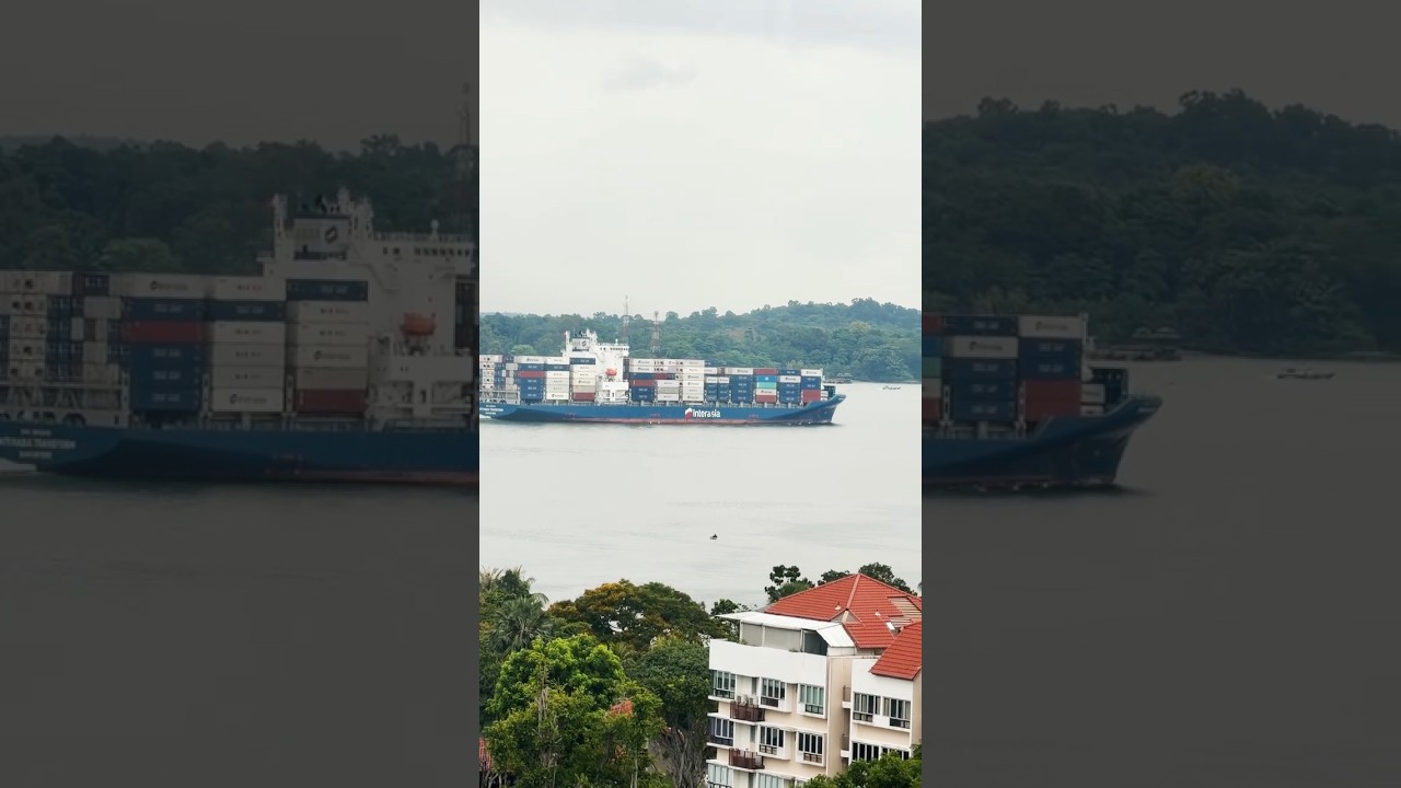 #containership #shipping #searoute
