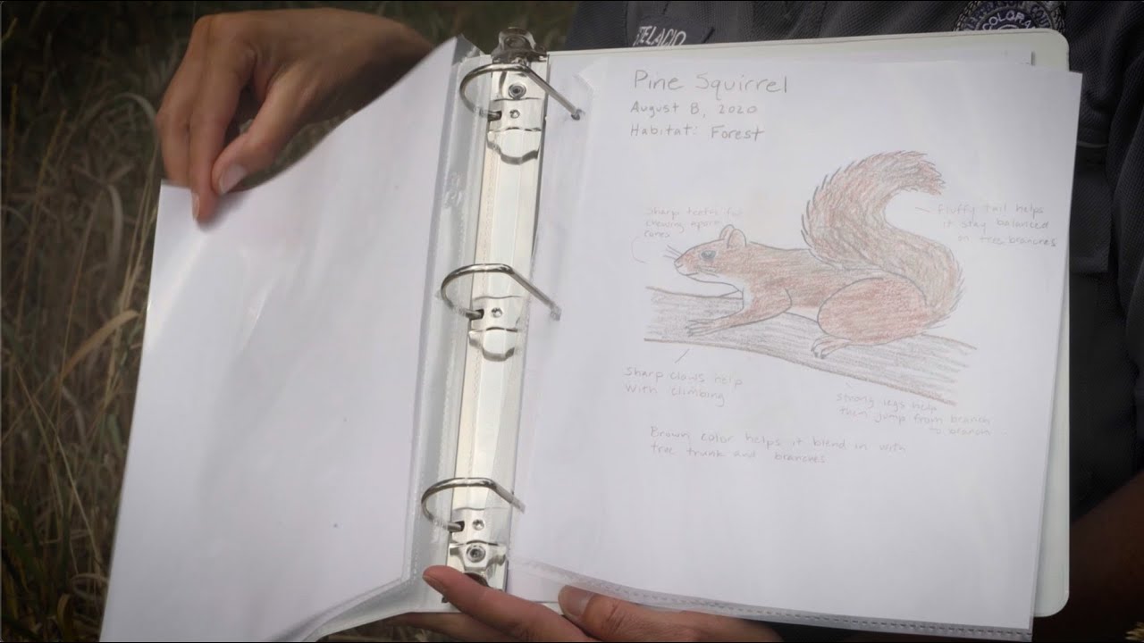 Plant and Animal Survivors - Create a Field Guide