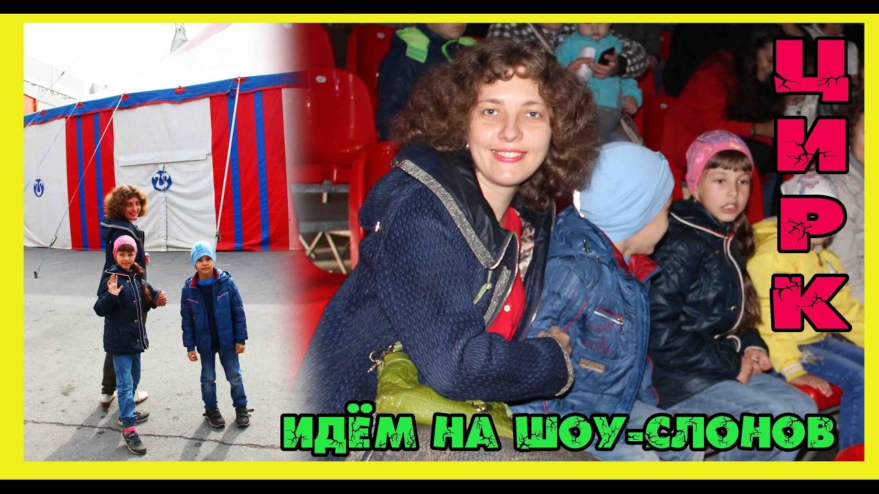 Шоу-слонов в Кургане