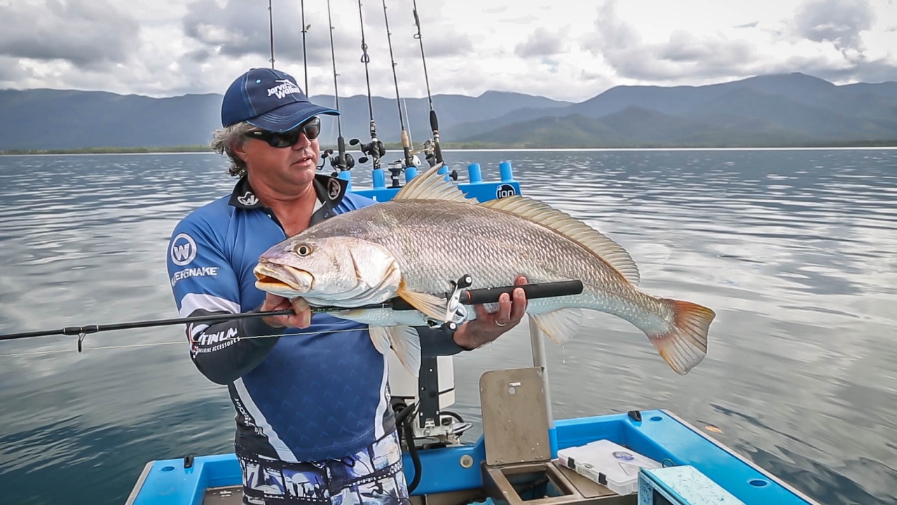 Huge Jewfish on a Fishing Combo!