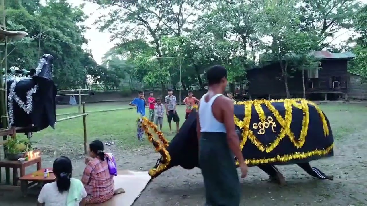 Traditional buffalo dance ကထိန်ရာသီပွဲတွေအတွက် ရွှေတိုး ငွေတိုး ကျွဲညီနောင်လာတော့မယ်