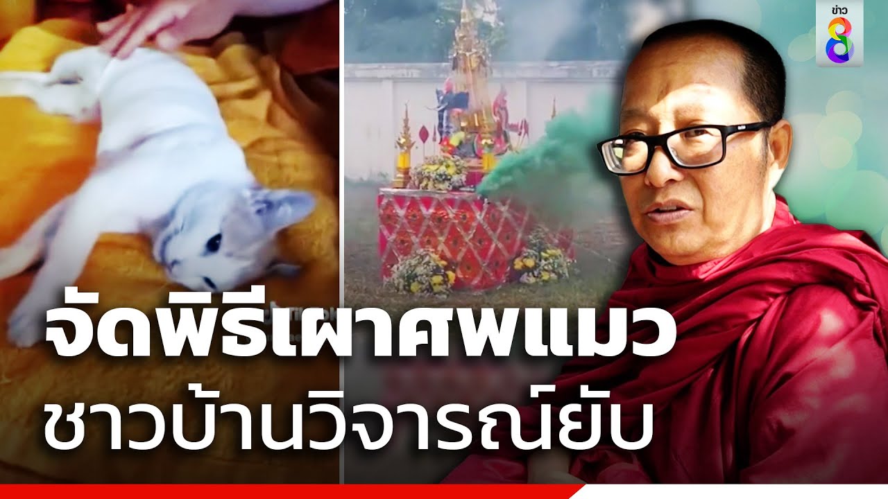 จัดพิธีเผาศพแมว ชาวบ้านวิจารณ์ยับ | สถานการณ์ | ข่าวช่อง8