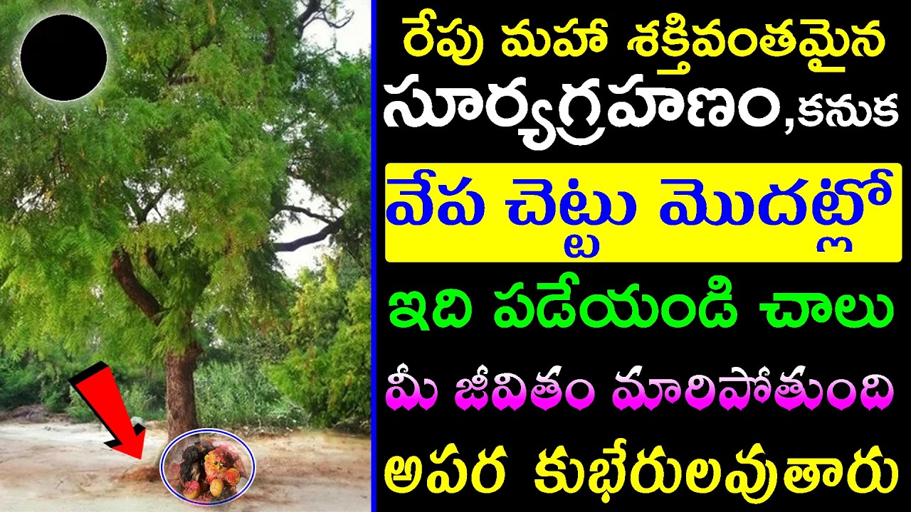 రేపు మహా శక్తివంతమైన సూర్యగ్రహణంవేప చెట్టు మొదట్లో ఇది పడేయండి   మీ జీవితం మారి అపర కుభేరులు అవుతారు