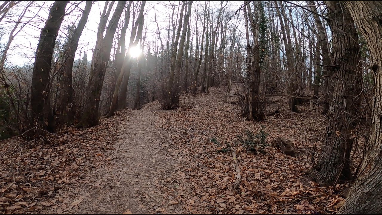 E-MTB COLLI EUGANEI... DH 