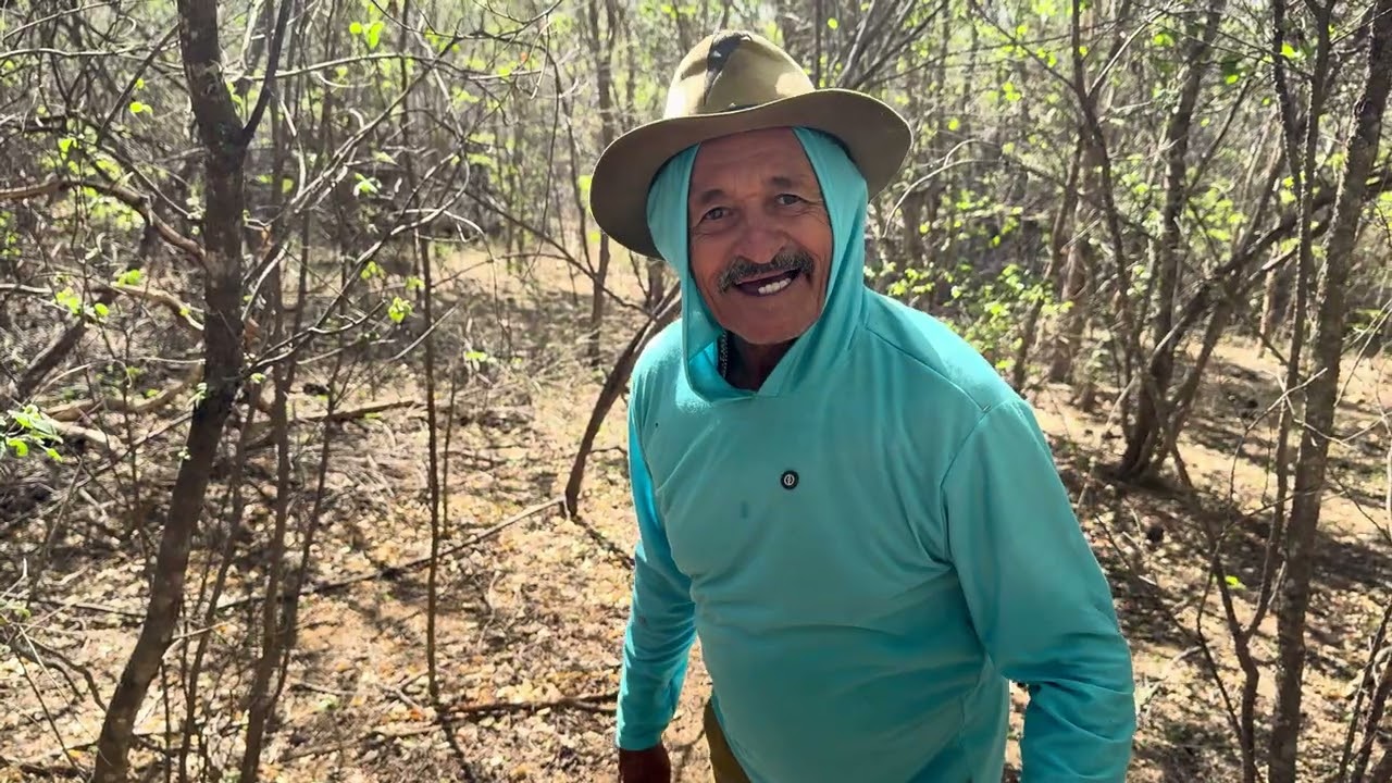 Procurando casa antiga em meio a caatinga 