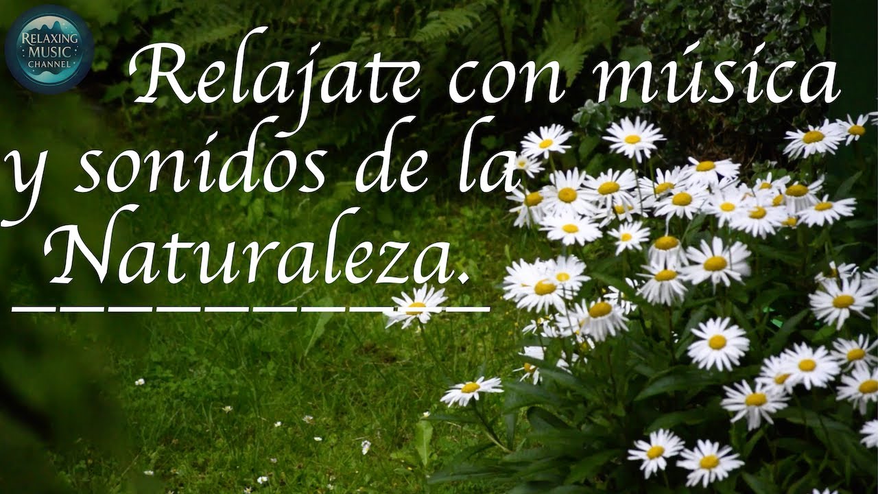 Música relajante, sonidos de lluvia y naturaleza, ayuda a conciliar el sueño, relax, sleep, stress.