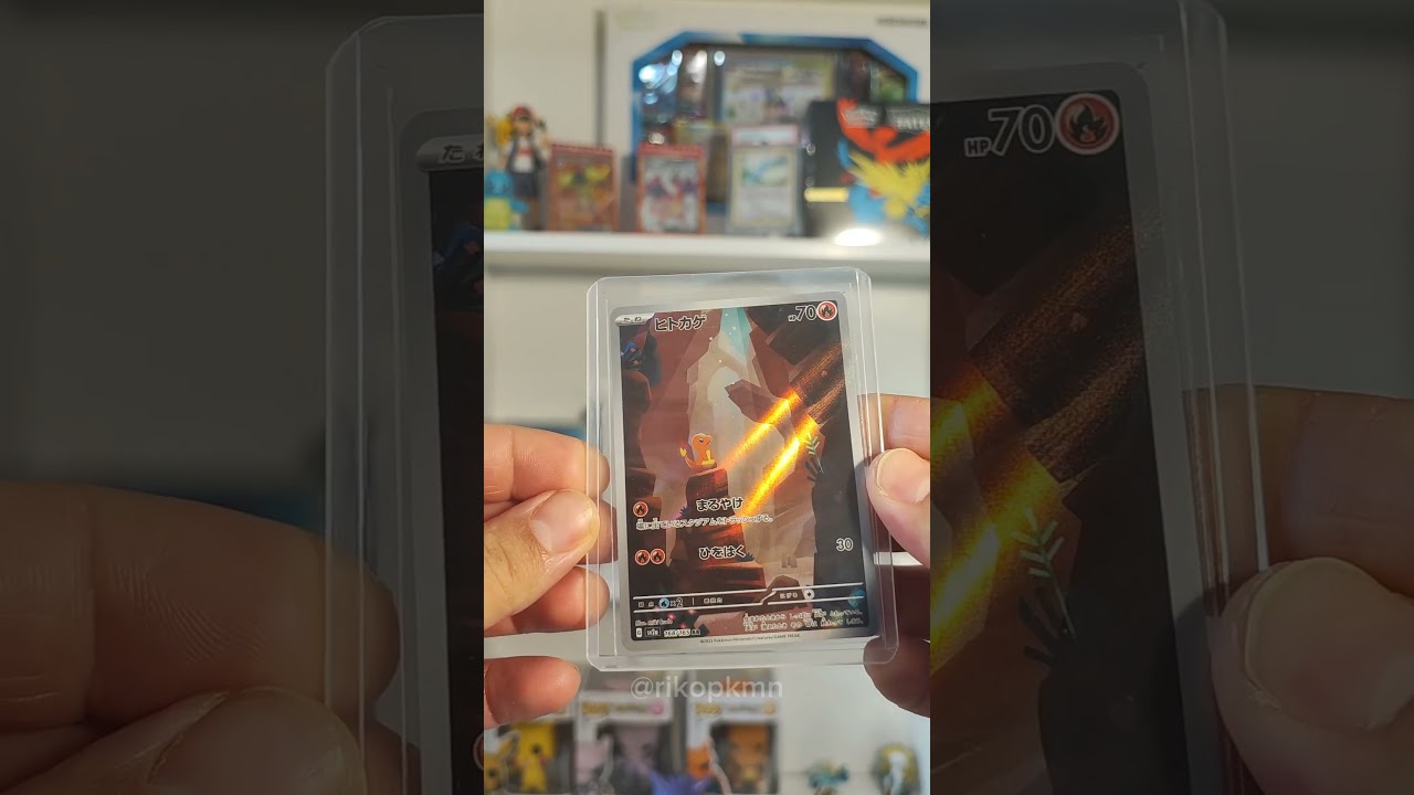 Team Charmander or Salam&egrave;che ? #pokemon #pokemoncards