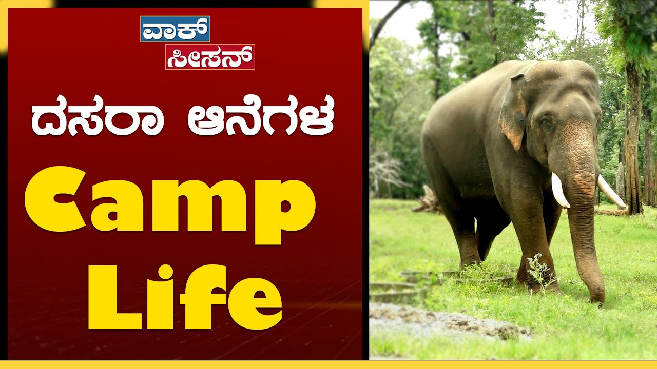 ಶಿಬಿರದಲ್ಲಿ ದಸರಾ ಆನೆಗಳ ಆಟ, ಊಟ, ಪಾಠ..? | Dasara Elephants life style | Mathigodu Elephant Camp