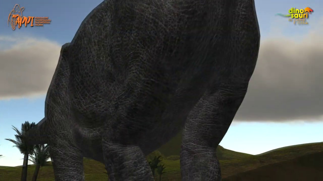 Come si forma un fossile?