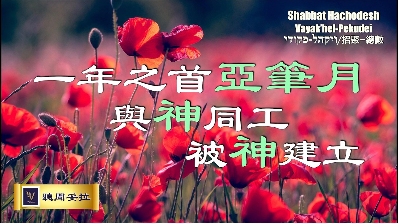 一年之首亞筆月！與神同工！被神建立！ ｜Vayak’hel-Pekudei / ויקהל-פקודי / 招聚-總數｜Hachodesh【VOY聽聞妥拉】