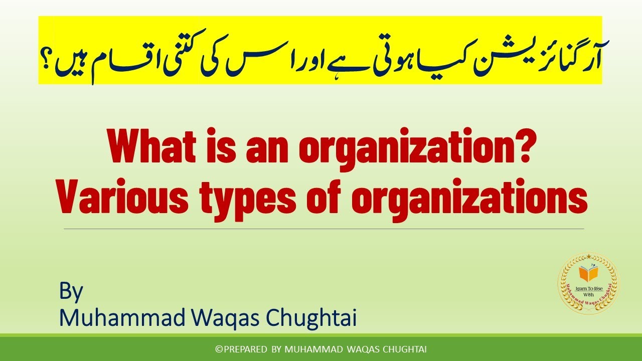 What is an organization? | Various types of organization | Simple explanation in Urdu/Hindi