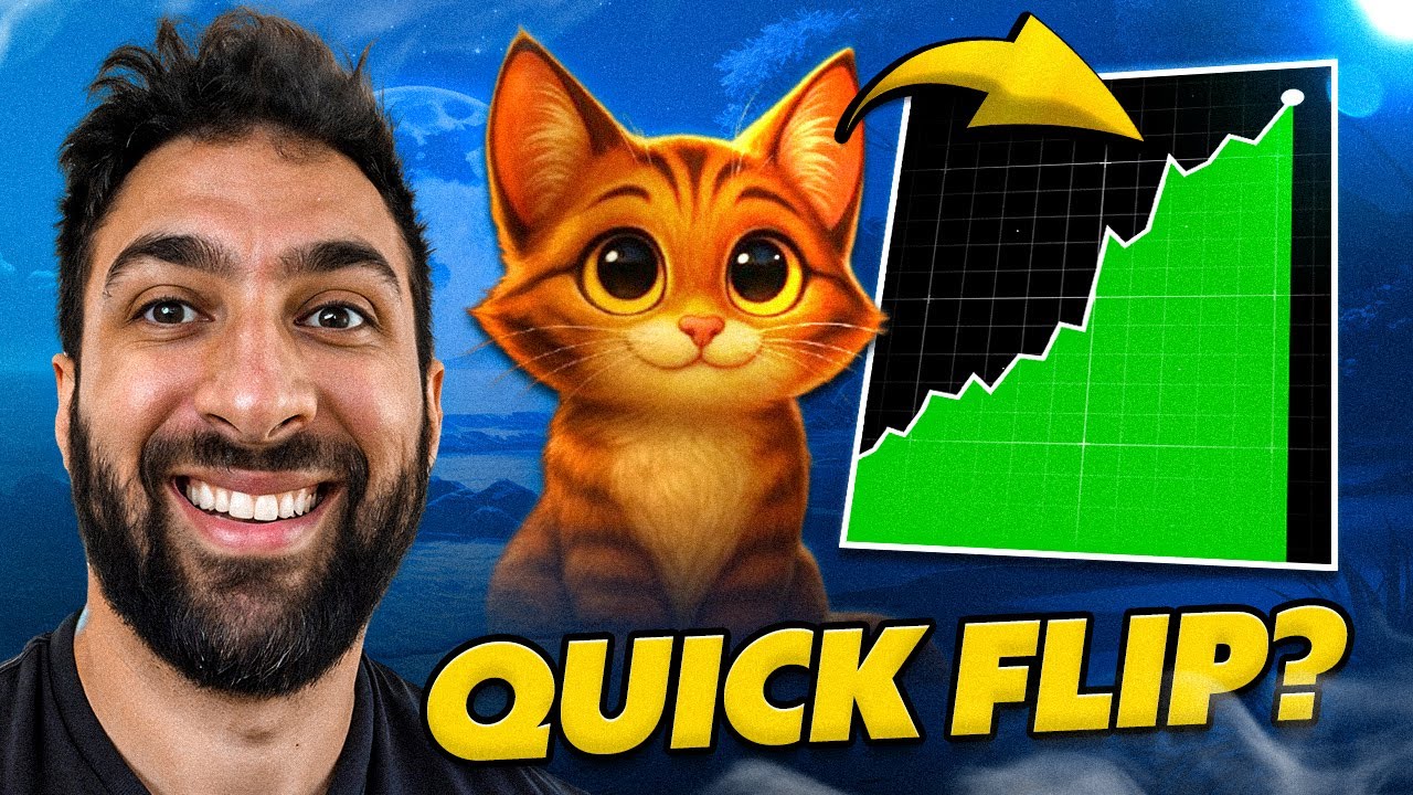 Solana&rsquo;s Cutest New Star? 🐱 The Felisandrecat ($FELIS) Story