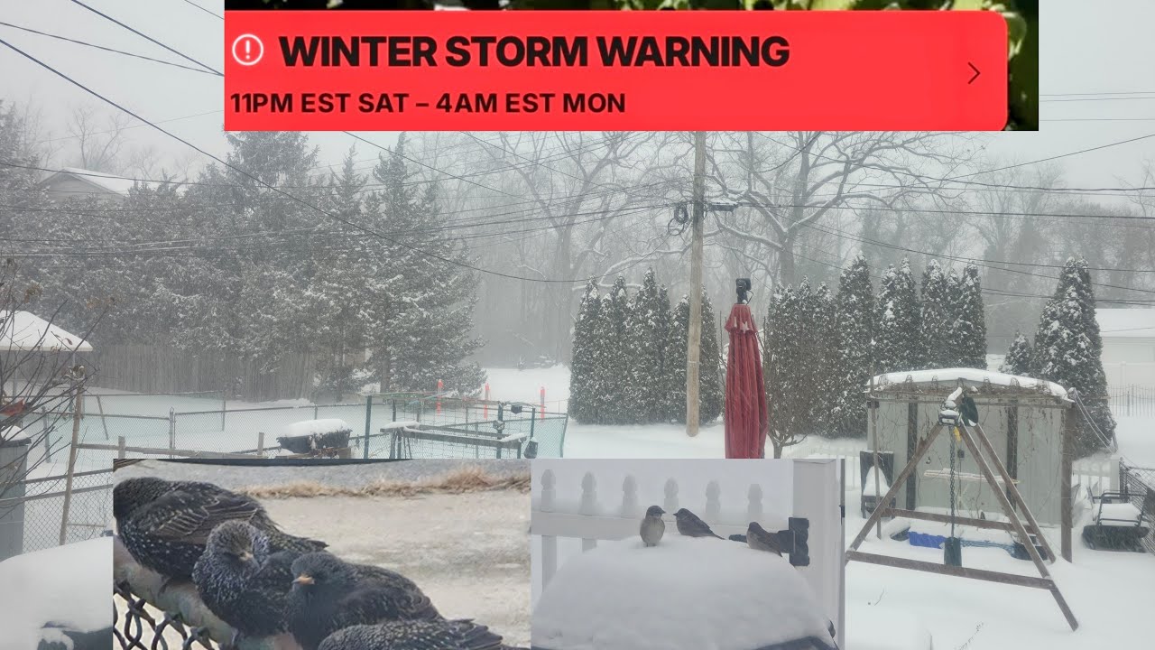 Blizzard Winter Storm warning upto foot of snow & ice Baltimore Maryland 2026