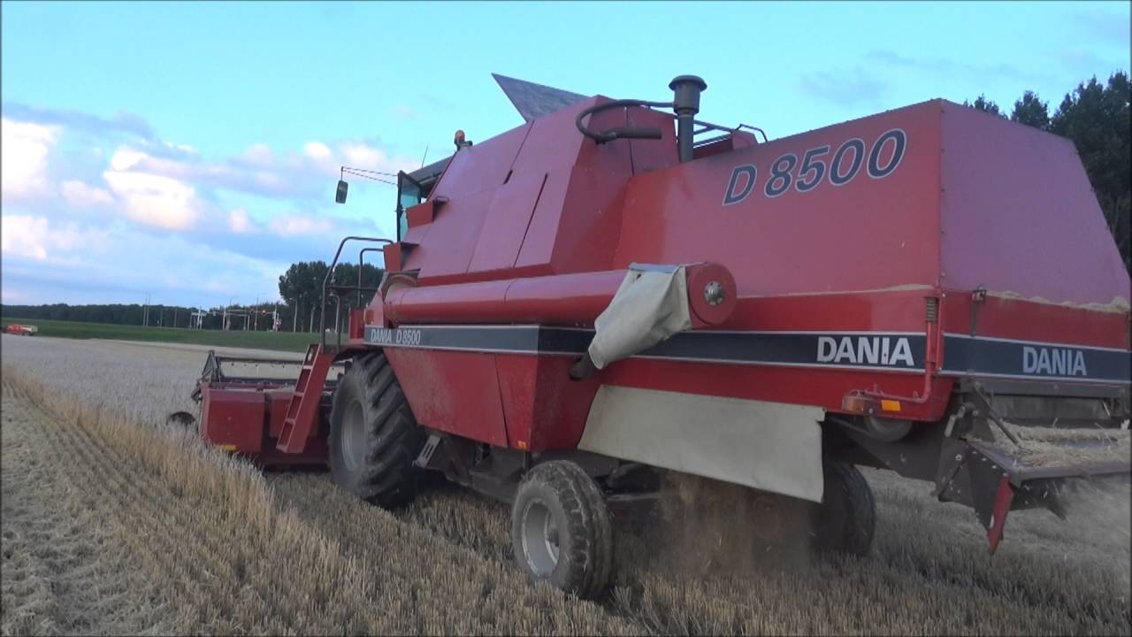 maaidorsen Dronningborg Dania D8500