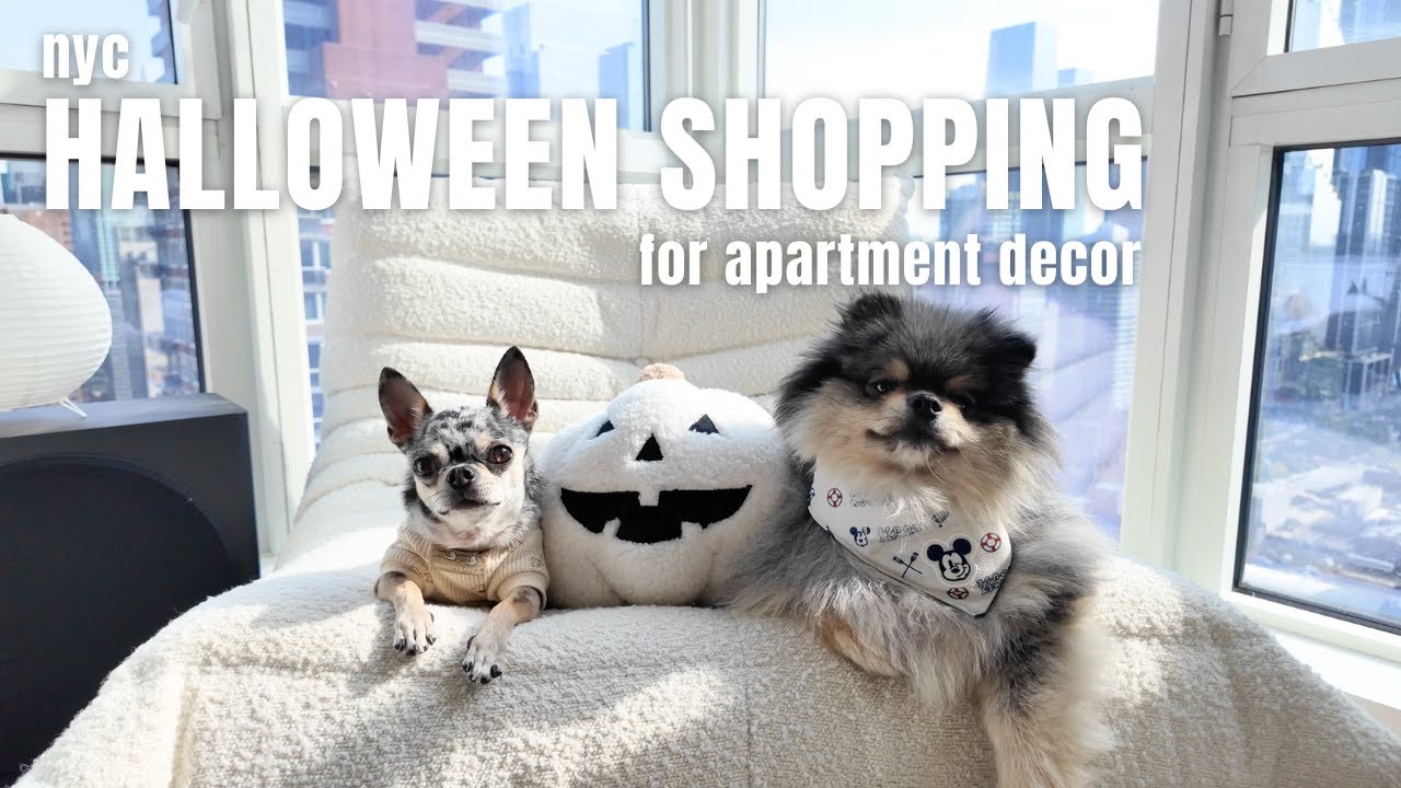 Halloween apartment decor shopping in NYC, central park walk, and catching up with friends