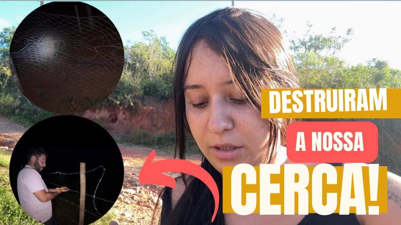 Desafios em um sítio isolado 😓 | Prejuízo na cerca e luta pra amansar o bezerro #sitio #roça 
