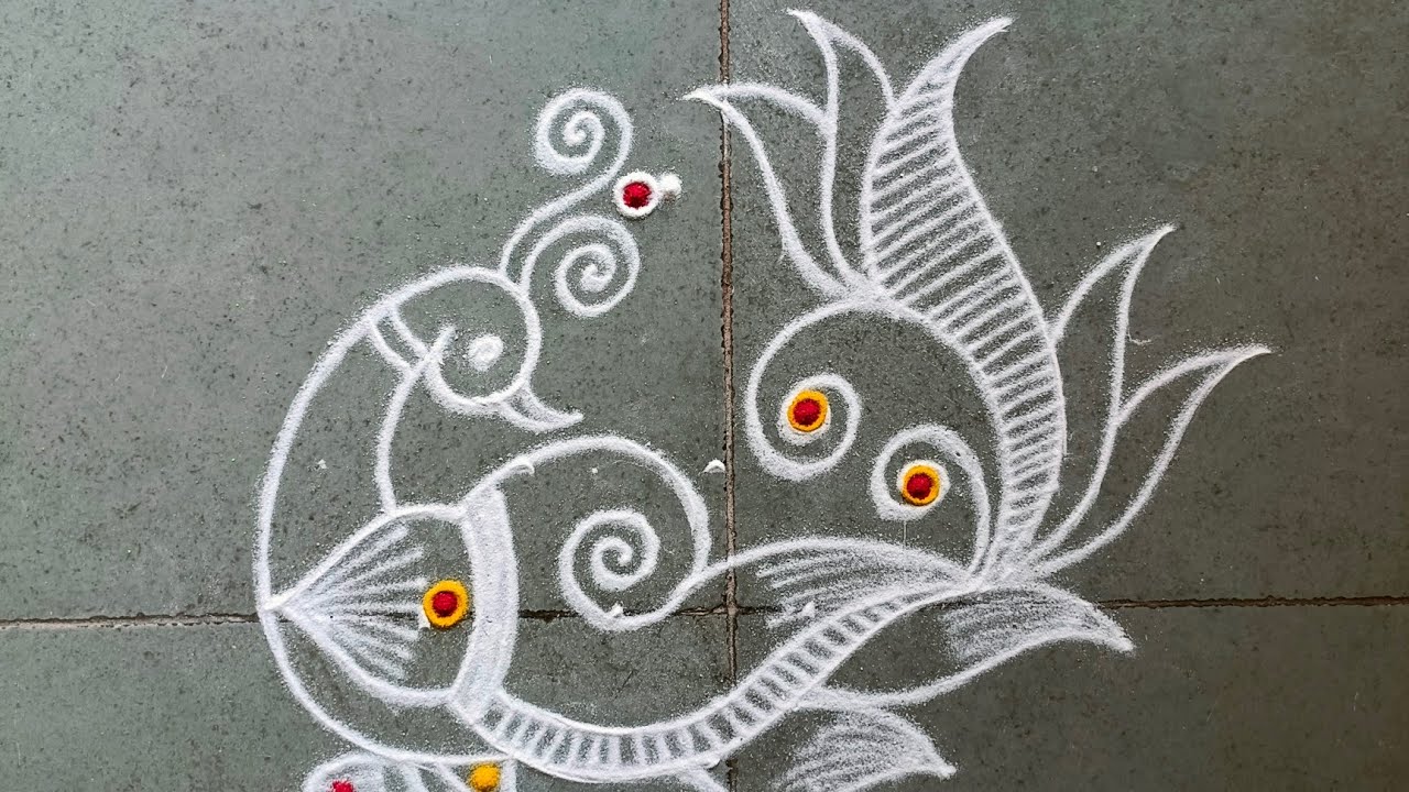Latest sangu kolam|peacock sangu muggulu|shankh rangoli design|shanku kolam