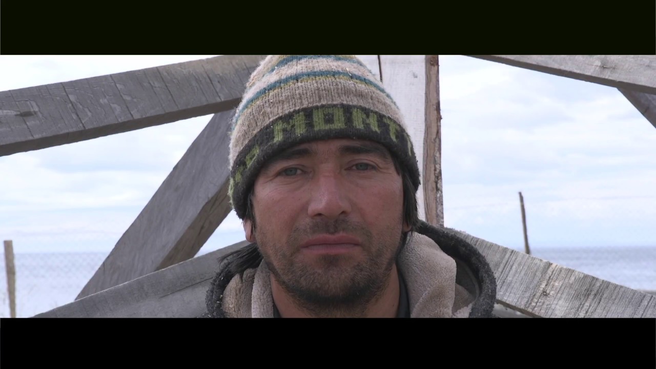 Carpinteros de Ribera en Magallanes