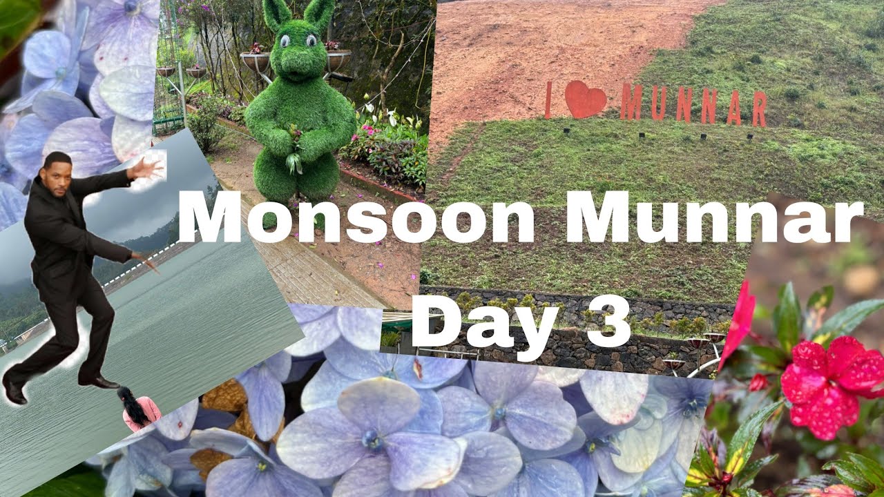 Monsoon  Munnar Day 3 | கேரளாவின் அழகின் இதயம் — மூணார் | Stuck in drizzling rain 