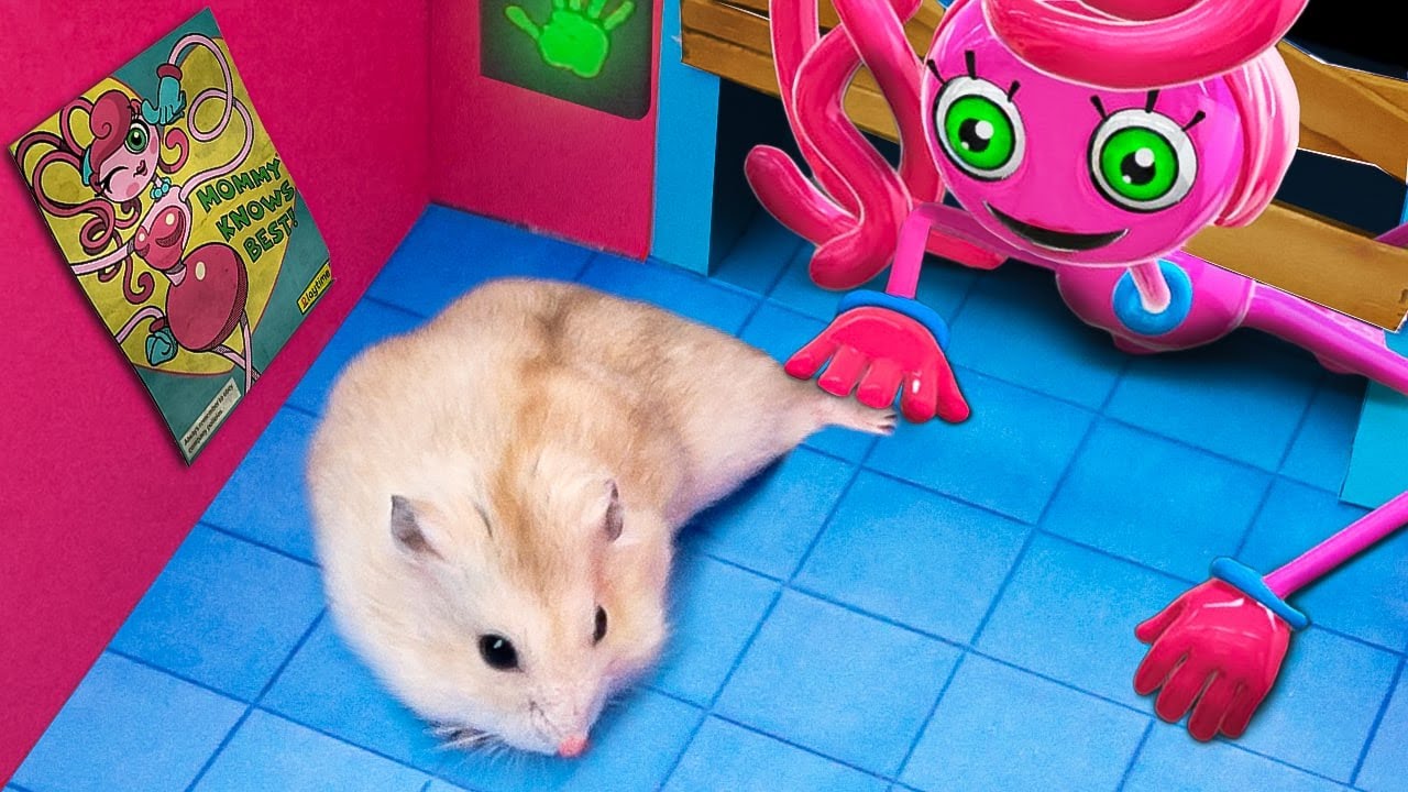 Hamster Escapes From Poppy Playtime Monster In Real Life - The Best Hamster Challenges