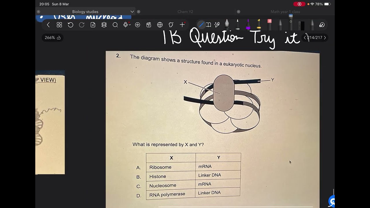 IB Biology HL; A1.2 Nucleic Acids