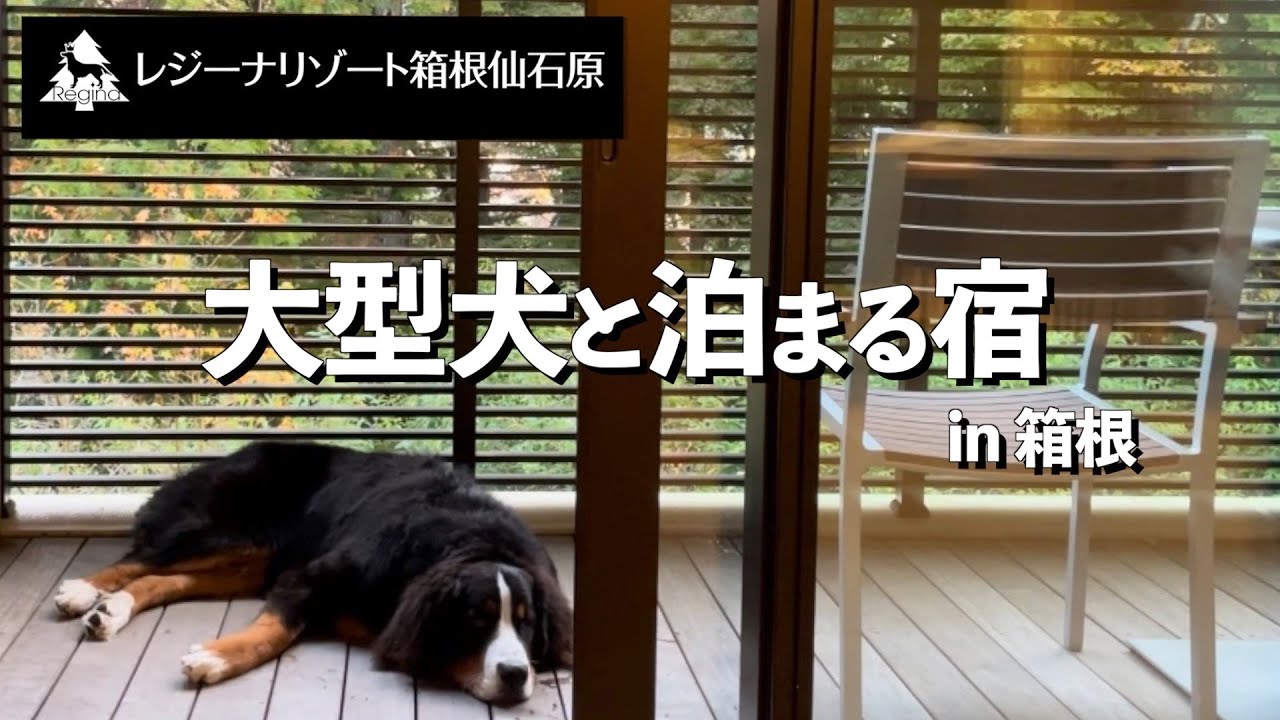 「レジーナリゾート箱根仙石原」にバーニーズマウンテンドッグと泊まってきました