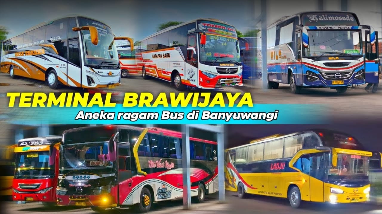 WOW🔥 Aktivitas Aneka Ragam bus Banyuwangi|| 2026
