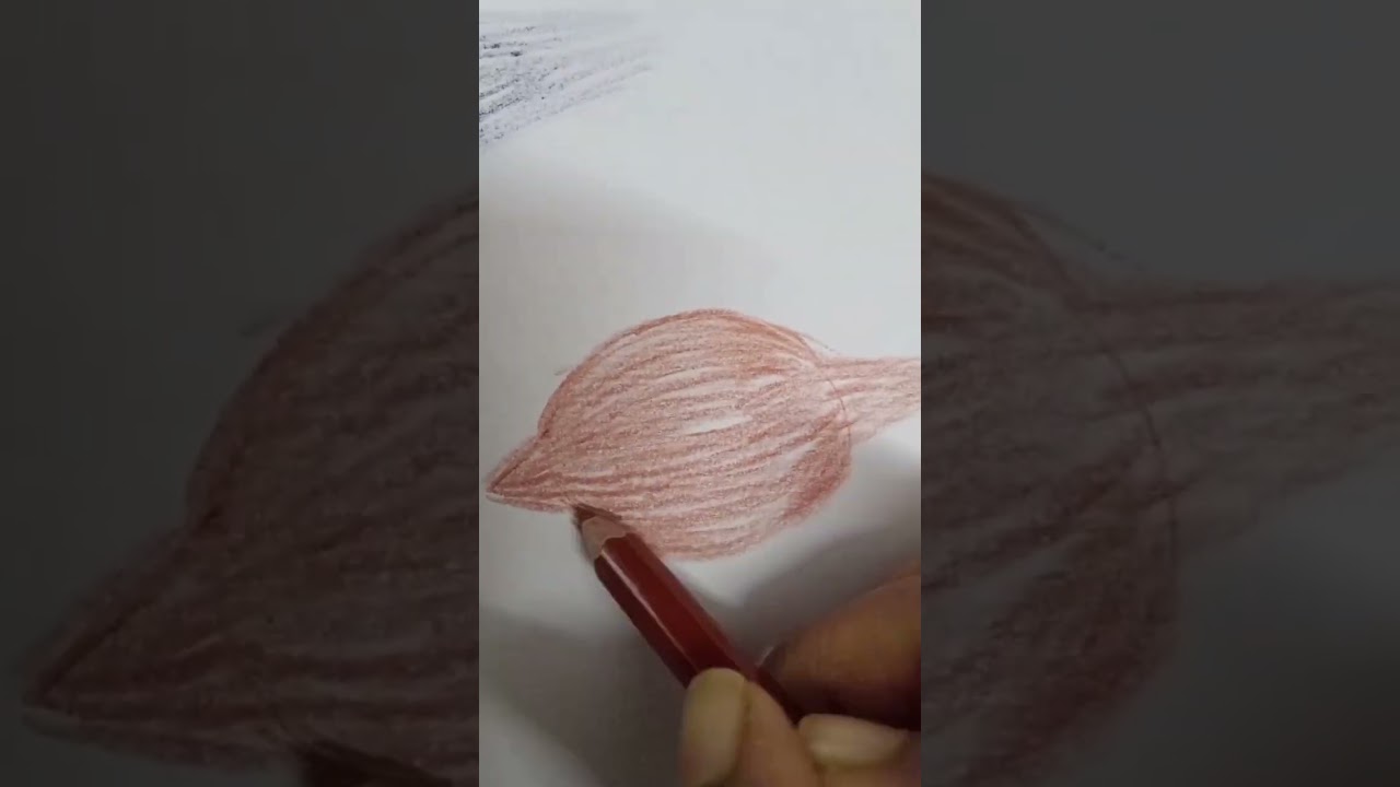 How to draw Coconut 🥥