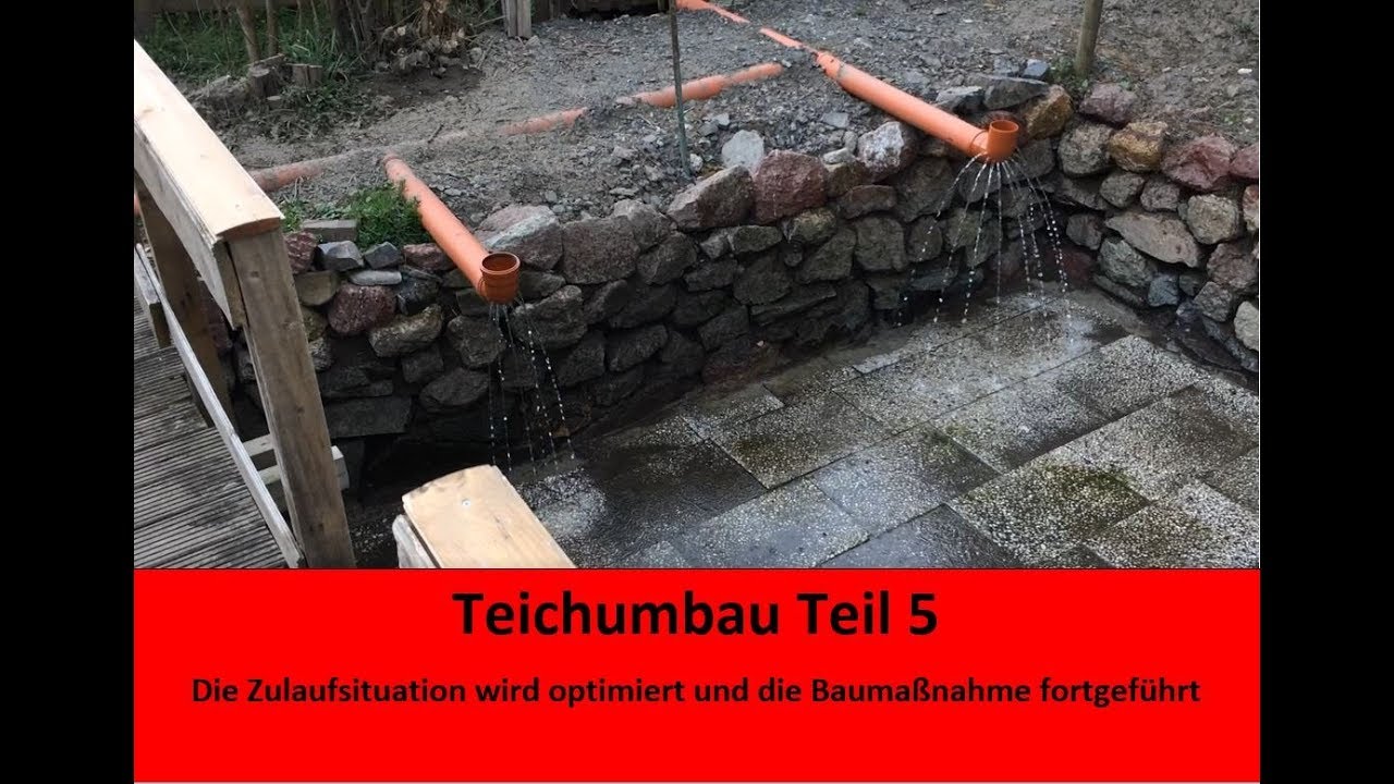 Der Weg zum (hoffentlich) perfekten Forellenteich #5