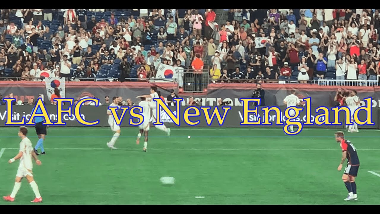 손흥민 경기 직관! (LAFC vs New England)
