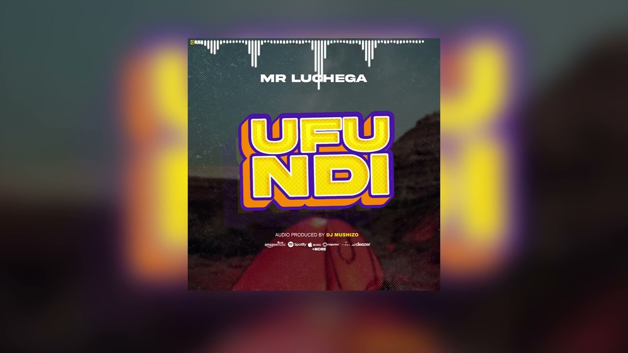 Mr Luchega - UFUNDI (Official Music Audio)