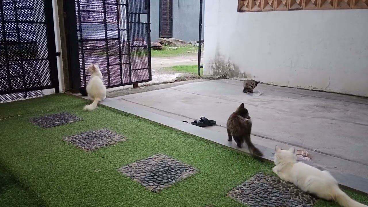 Keseruan di sore hari
