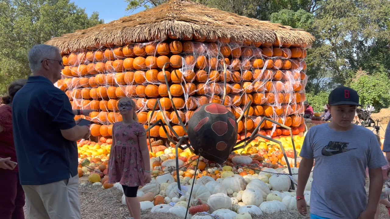 Largest Pumpkin Village | Botanical Garden Dallas Texas |