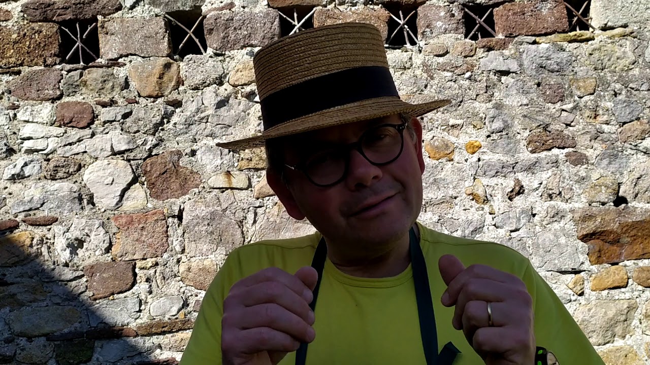 obtenir un beau gazon fleuri et surtout toujours vert!