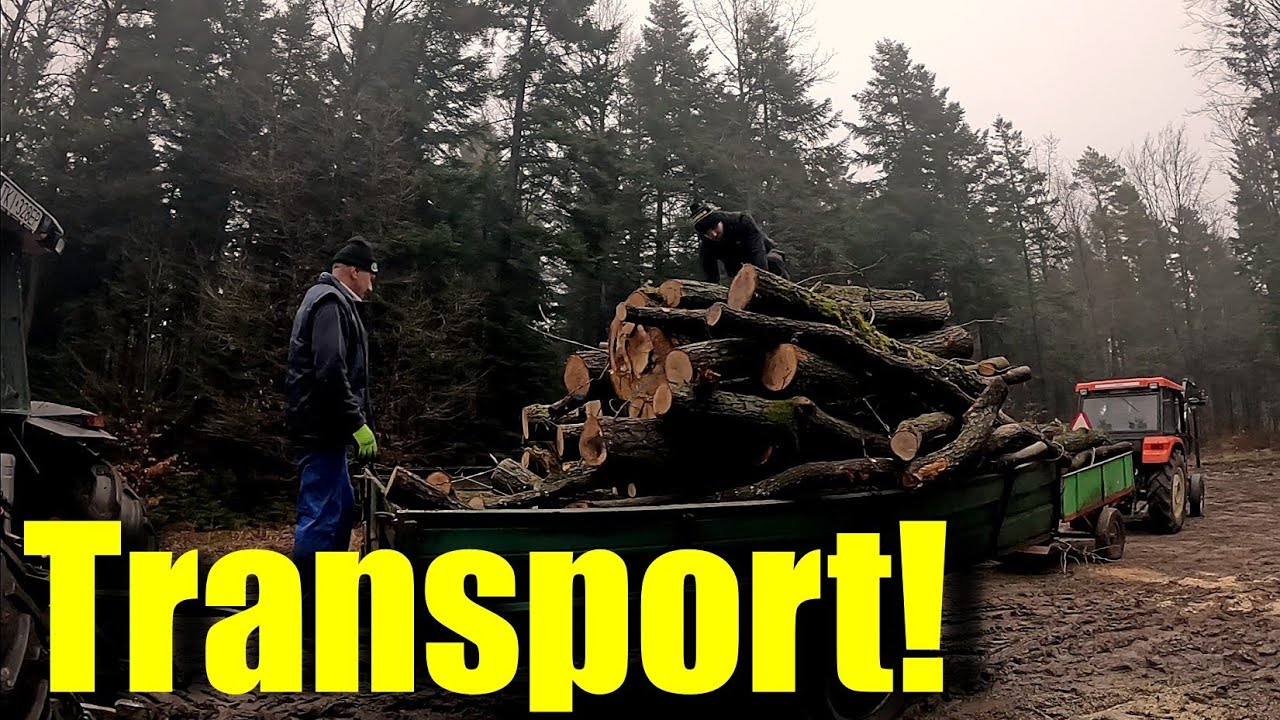 Transport drewna - prowadzący Piotruś!