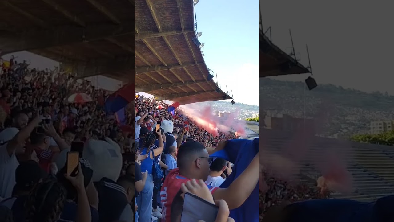 Fumando porro y tomando vino🔴🔵 #futbol #medellin #rexixtenxianorte #rxn #dim #futbol #hinchada #fpc