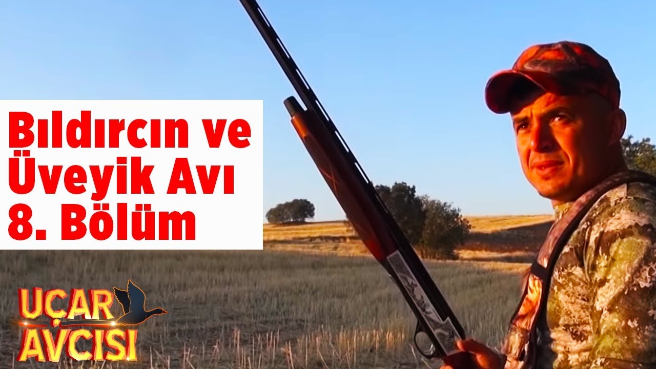 Bıldırcın ve Üveyik Avı Uçar Avcısı  8.Bölüm - Yaban Tv