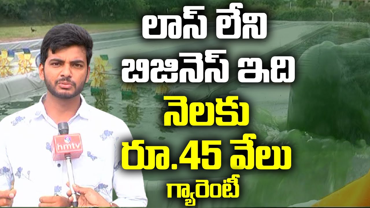 Spirulina Cultivation | hmtv Agri