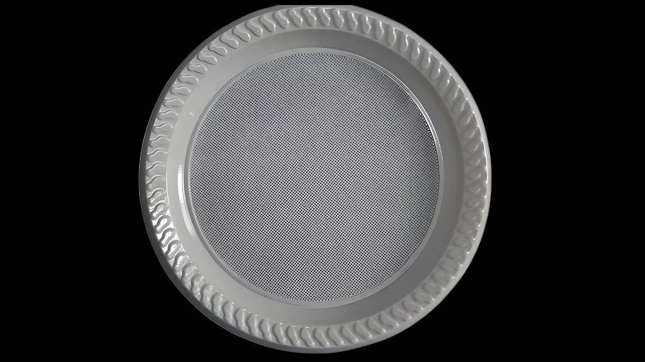 Disposable Plastic Food Plates Making Automatic Thermoforming Machine