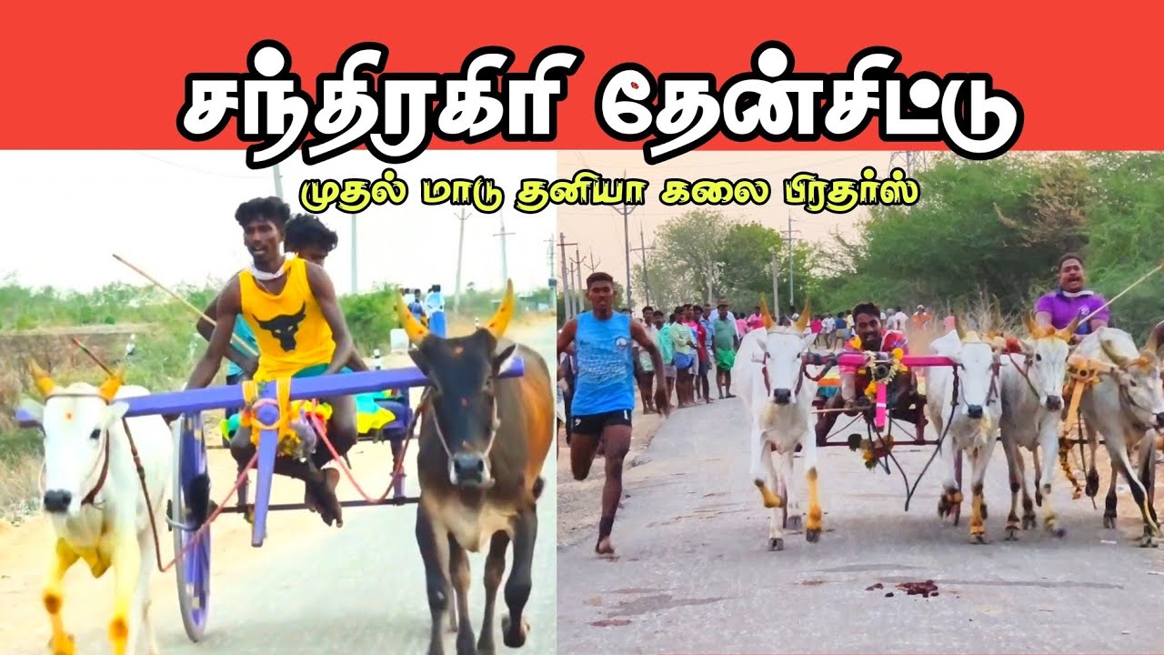 சந்திரகிரி கிராம பொது மக்களால் நடத்தப்பட்ட பந்தயம்