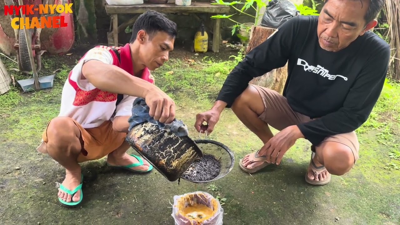 Mengolah propolis,bersih bersih kebun dan panen ikan koi pujan di borong bos dari AFRIKA Mr.sube