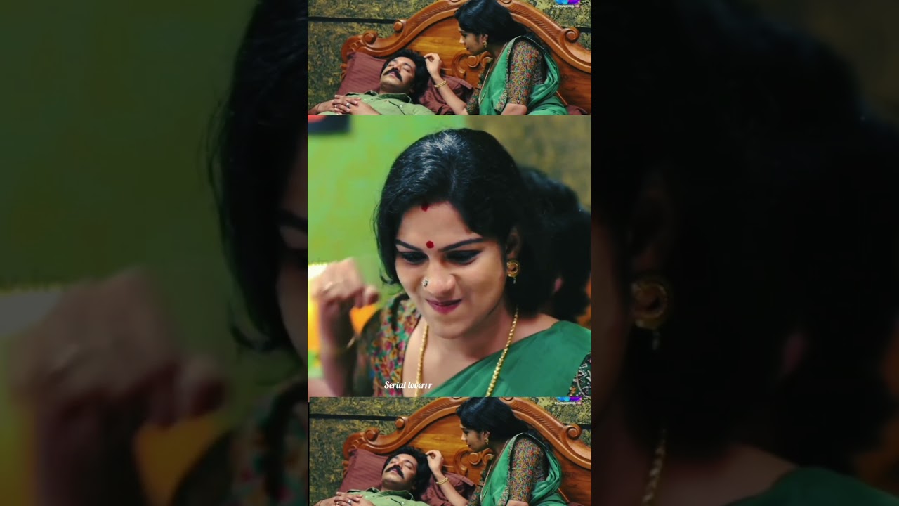 seethendriyam❤️ #love  #seethendriyam #swasika #tamilsong #trendingshorts #shanavasactor #romantic
